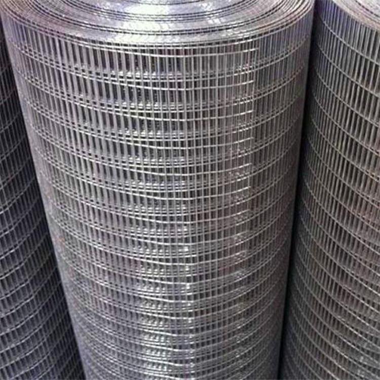 Selling high quality Iron Wire mesh factory price steel wire mesh galvanized welded iron mesh roll