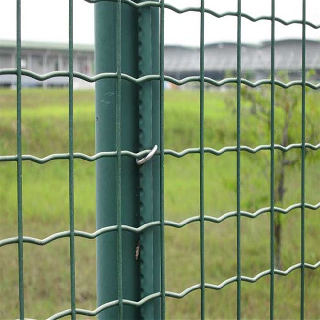 Farm Green Color PVC Coated 50x50mm mesh opening Euro Holland Welded Wire Mesh fence for Chile