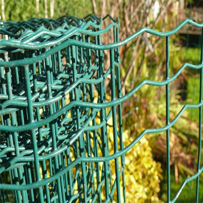 Farm Green Color PVC Coated 50x50mm mesh opening Euro Holland Welded Wire Mesh fence for Chile