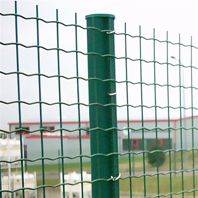 Farm Green Color PVC Coated 50x50mm mesh opening Euro Holland Welded Wire Mesh fence for Chile