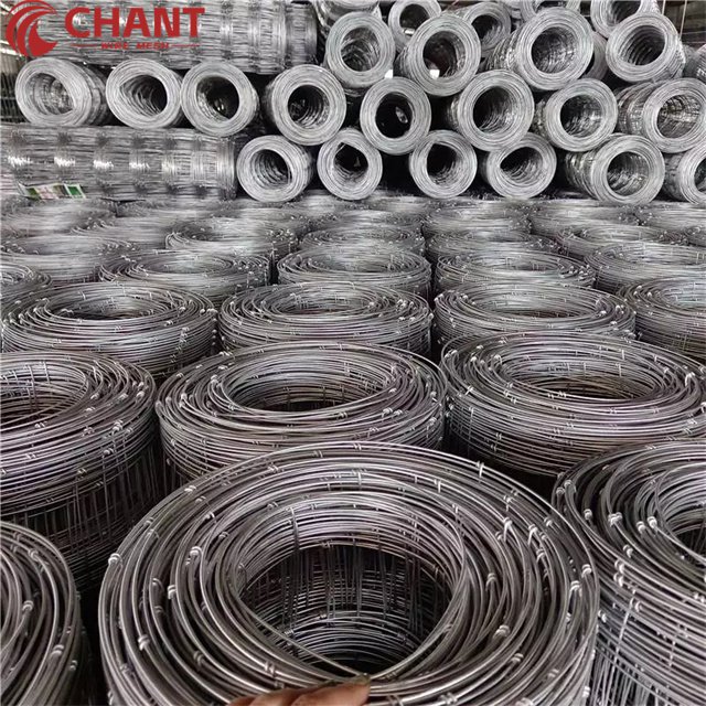 Customized 1.8m 2m High Galvanized Steel Wire Mesh for Cattle Farm Deer Fencing & Field Fence for Sheep/Goat Management