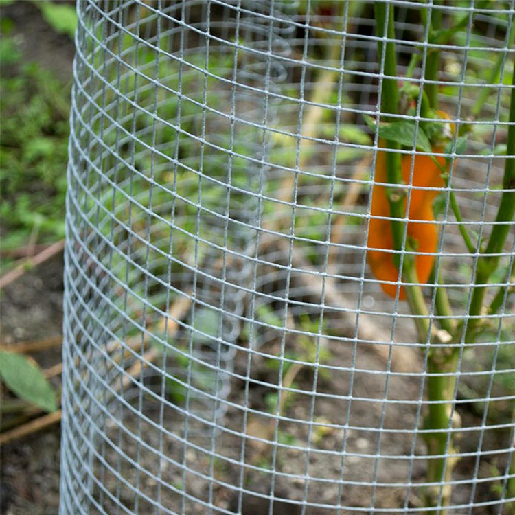 Factory Good Price Corrosion Resistance 1/4" 1/2" 1" Welded Wire Mesh Fence Roll