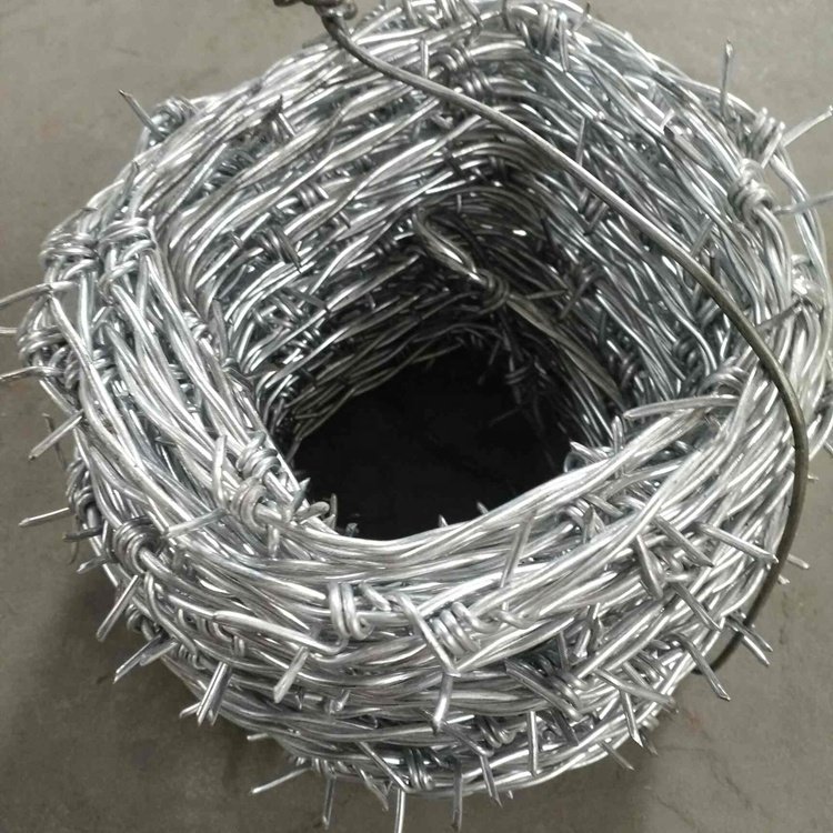Factory Direct High Quality 2.2MM Galvanized Double Strand Barbed Wire for Fencing Iron & Steel 5mm 2.5mm 8mm Coils Available