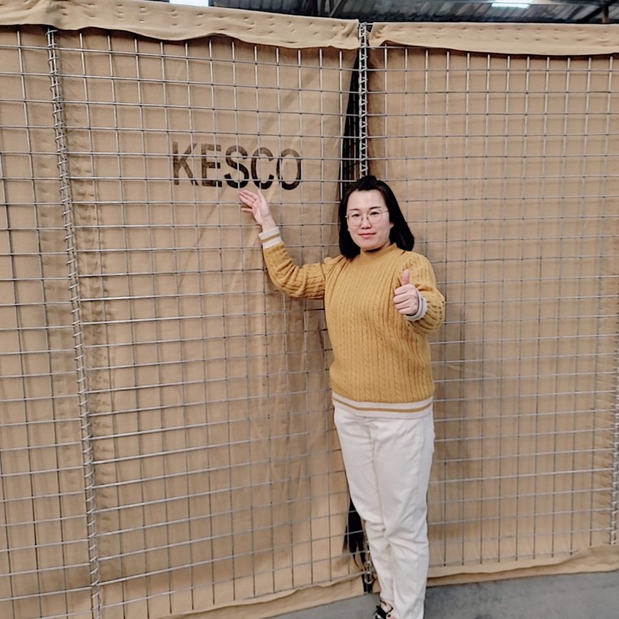 Mesh Size 80*80mm Temporary High Security Defensive Bastion Barrier