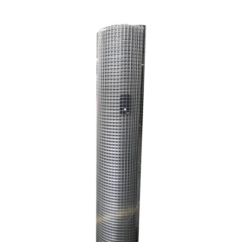 Galvanized Welded Wire Mesh 1/2" 3/4" Animal Fence Mesh Roof Mesh for Agriculture