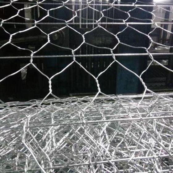 Direct Factory Galvanized Steel Hexagonal Wire Mesh Fence for Animal Protection