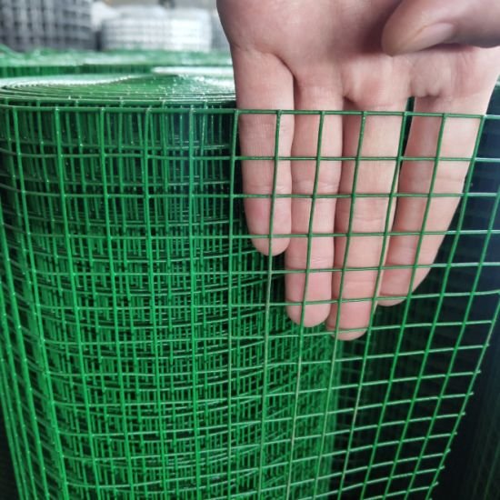 Factory Galvanized Bird Cage Weld Fenc Stainless Steel Pvc Coated Roll 4Mm Welded Wire Mesh