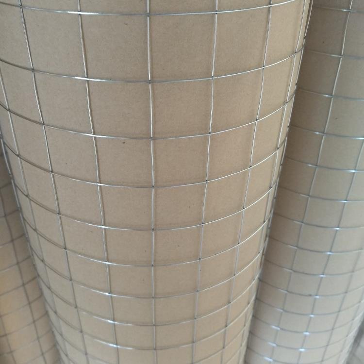 Fish Pot Steel Wire Mesh Galvanized and PVC Coated Welded Steel Wire Mesh