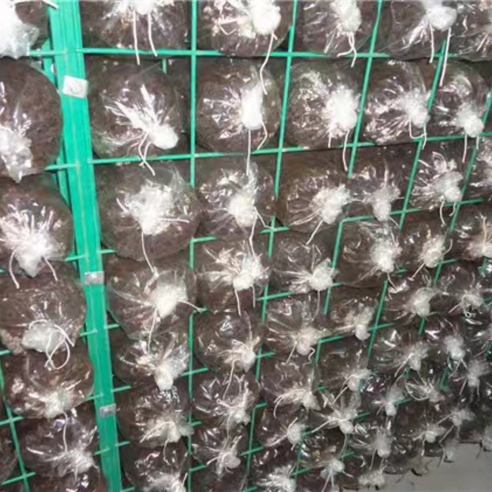 PVC-Impregnated Steel Wire Mesh Guardrail for Garden Spray Plastic Wire Mesh for Enhanced Durability and Aesthetics