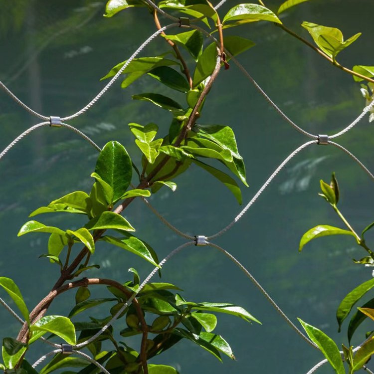 Stainless Steel Birdhouse Net Zoo Rope Net Wire Rope Net For Animal Fence