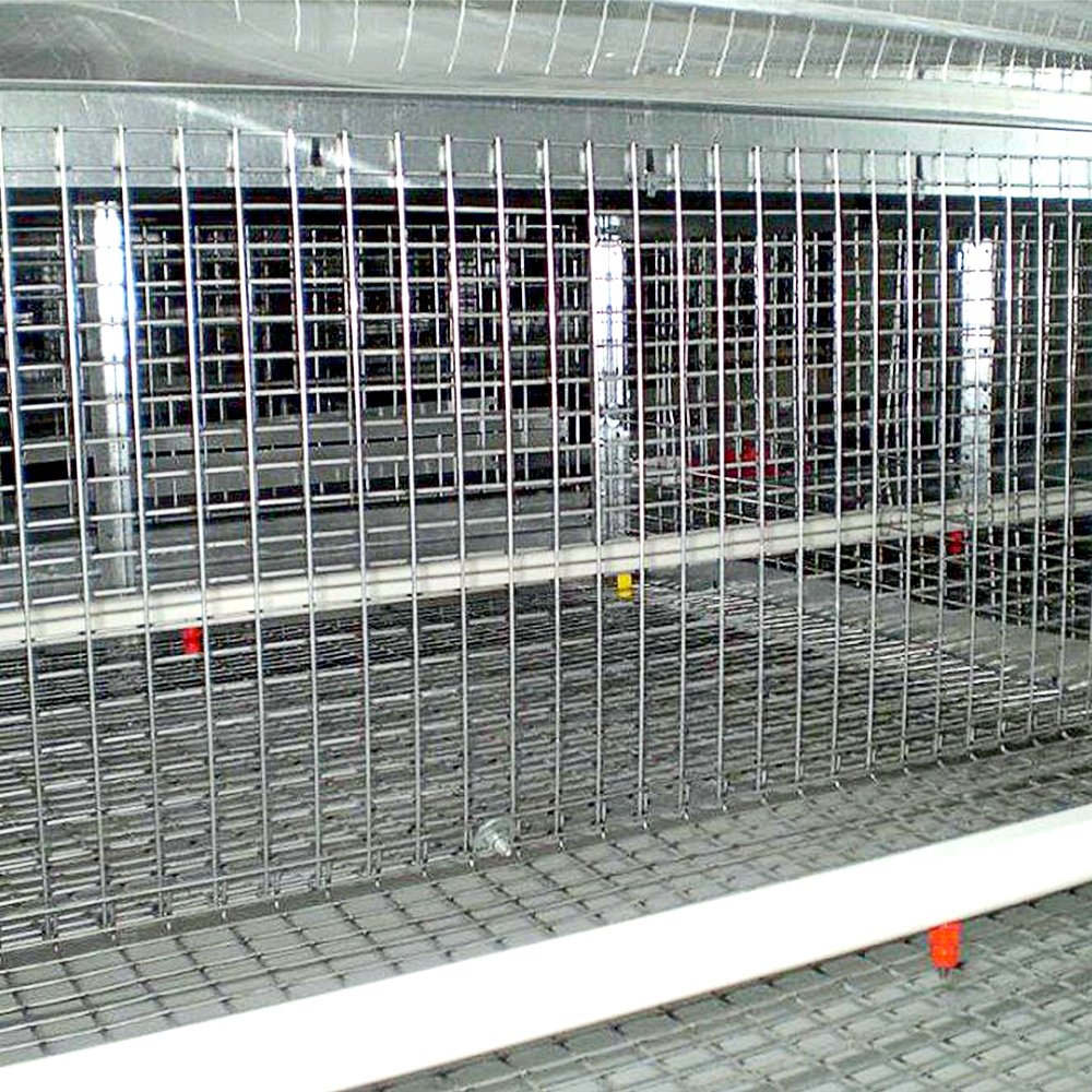 Factory-Priced Chicken Farm Automatic Layer Cage Poultry Farm Welded Iron Wire Mesh Cage Galvanized Steel Wire Mesh Competitive