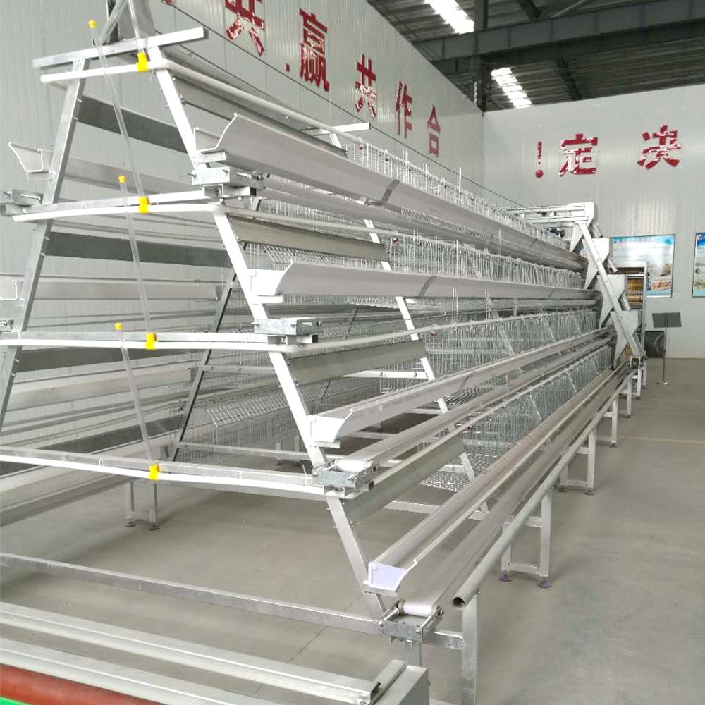 Factory-Priced Chicken Farm Automatic Layer Cage Poultry Farm Welded Iron Wire Mesh Cage Galvanized Steel Wire Mesh Competitive