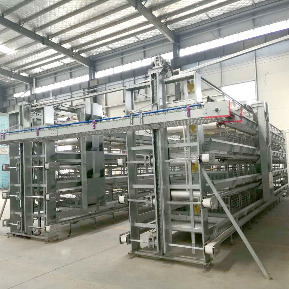 Factory-Priced Chicken Farm Automatic Layer Cage Poultry Farm Welded Iron Wire Mesh Cage Galvanized Steel Wire Mesh Competitive