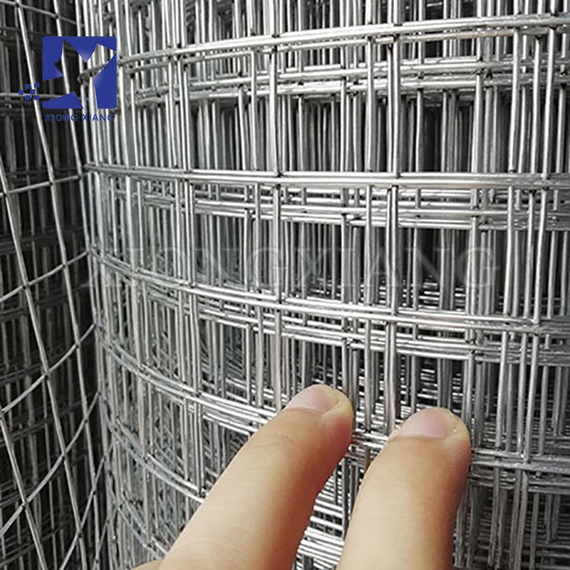 Factory Custom Hot Dipped Galvanized Welded Wire Mesh Roll 1/2 Inch Hole Stainless Steel Welded Wire Mesh