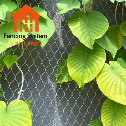 Stainless Steel Wire Rope Mesh 100*100mm Cable Mesh Green Plant Climbing Trellis Wall Mesh For Garden