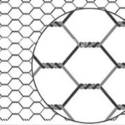 Hexagonal Galvanized Mesh Metal Fence Frame Chicken Netting iron net Hexagonal Wire Netting