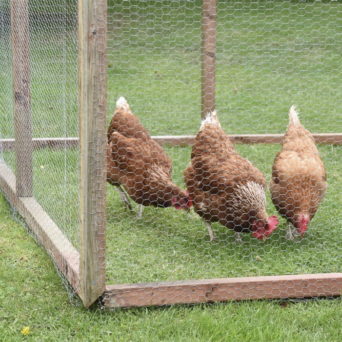 Hexagonal Galvanized Mesh Metal Fence Frame Chicken Netting iron net Hexagonal Wire Netting
