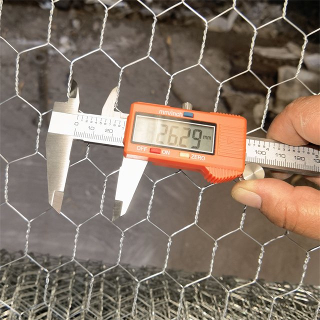 Hexagonal Coop Customized Iron Double Steel Net Mes Garden Size Hexagonal Galvanized pvc Mesh