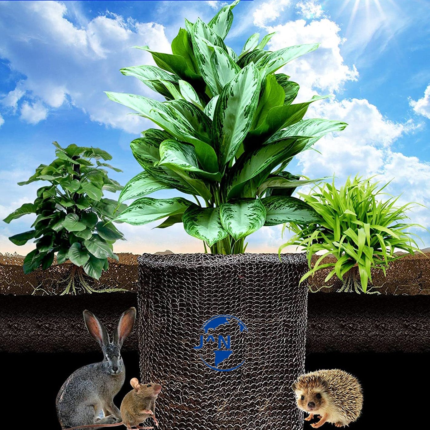 Plant Root Guard Baskets, 1 Gallon 3 Gallon 5 Gallon Stainless Steel Wire Baskets, Gopher Wire Mesh Cages Underground Plant Root