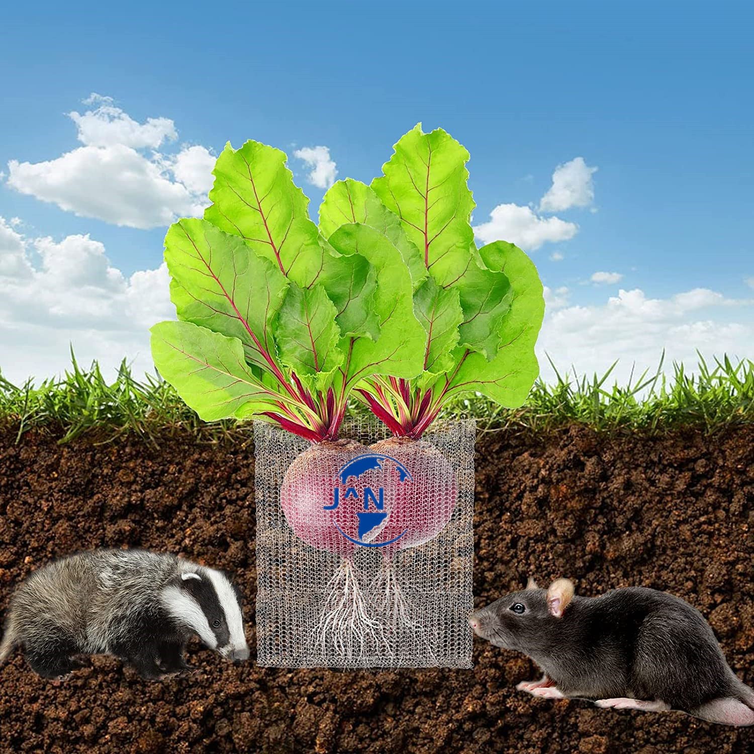 Plant Root Guard Baskets, 1 Gallon 3 Gallon 5 Gallon Stainless Steel Wire Baskets, Gopher Wire Mesh Cages Underground Plant Root