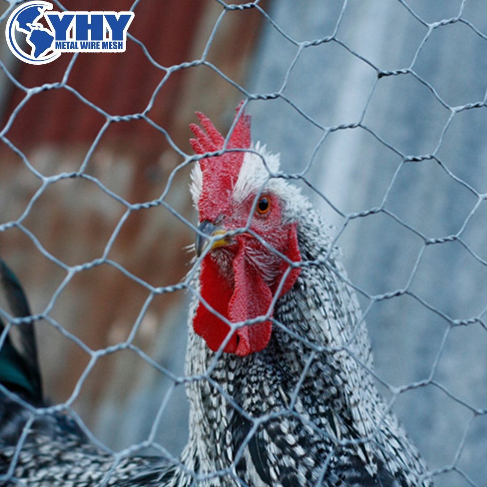 galvanized chicken wire mesh hexagonal wire netting for chicken cage frame