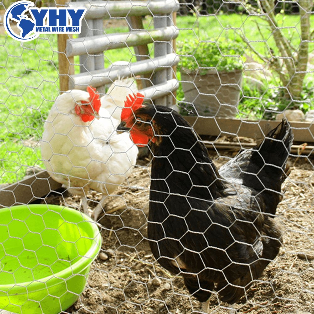 galvanized chicken wire mesh hexagonal wire netting for chicken cage frame