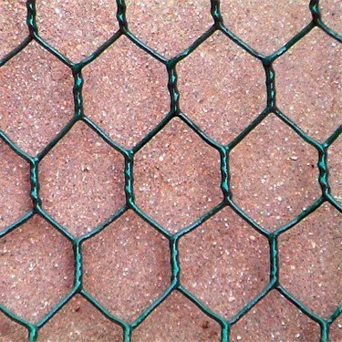 Galvanized Chicken Coop Wire Netting Farm Steel and Stainless Steel Iron Wire Fence for Plastering Chicken Net