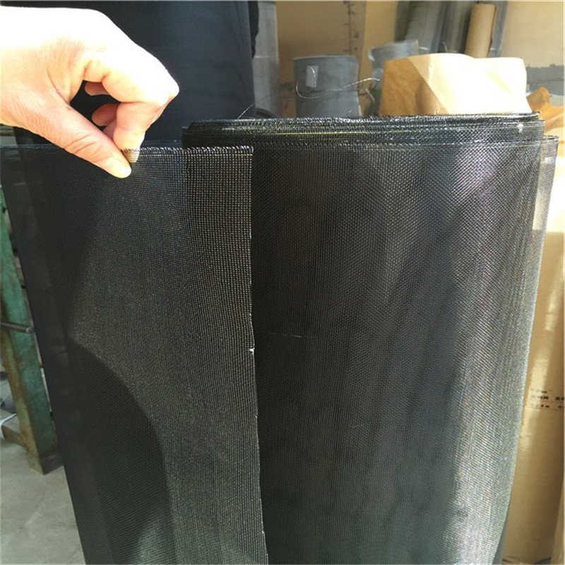high quality ss 304 316 black coated stainless steel window door screen mesh