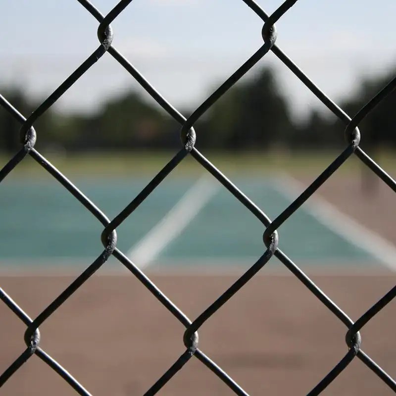 steel net wires chainlink fence for chicken house walls