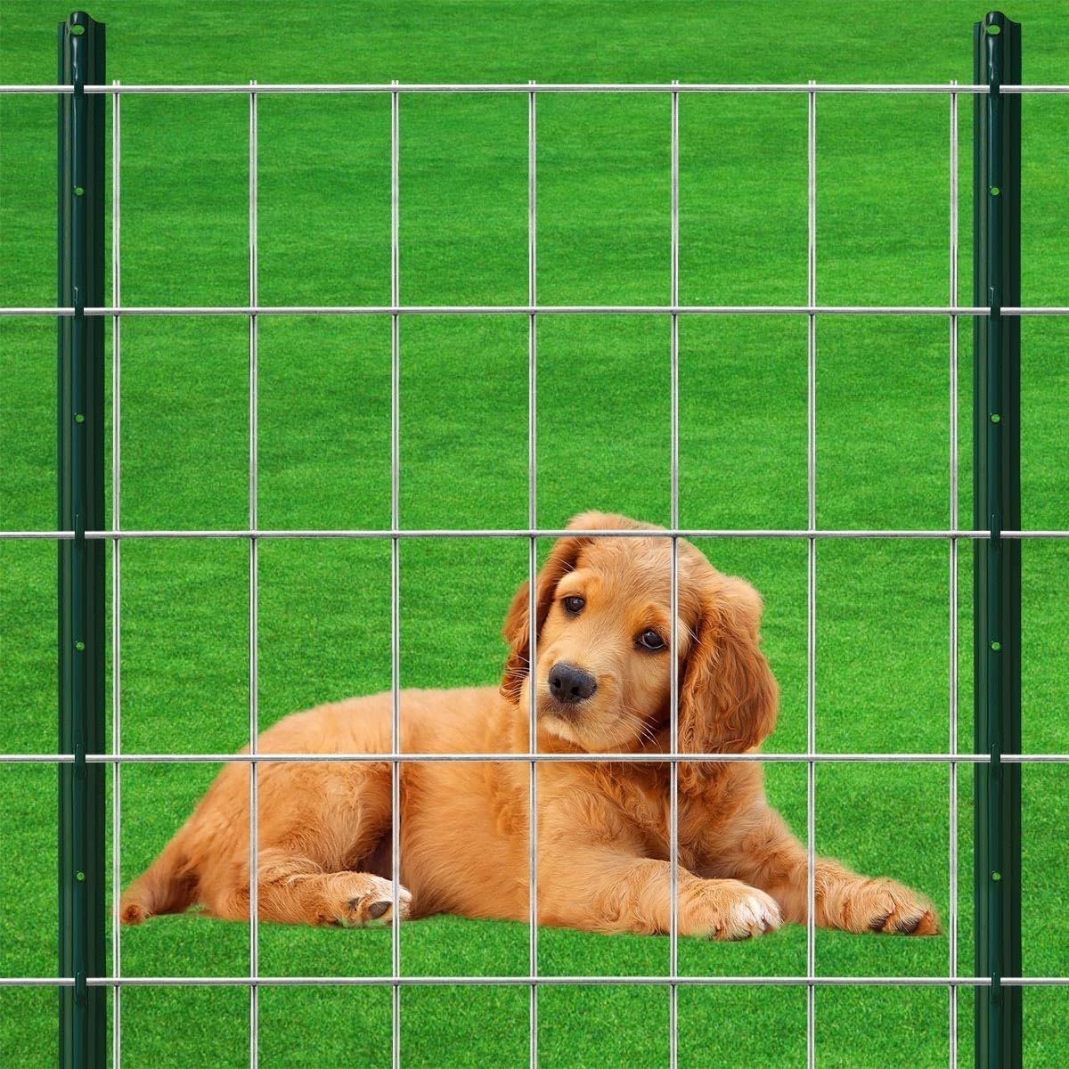 Hot Dip Galvanized 3/8 & 5/8 Gauge Electro Galvanized Plain Weave Square Hole Welded Mesh Rolls for Farm Fence & Bird Cage