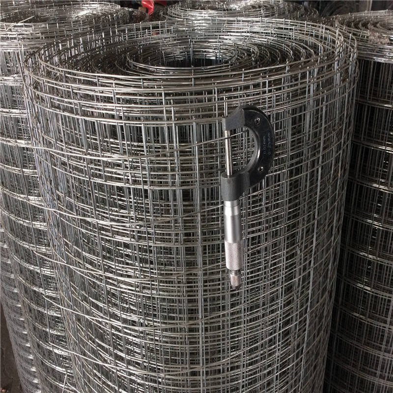 Factory wholesale 50 x 50mm galvanized steel wire mesh panels