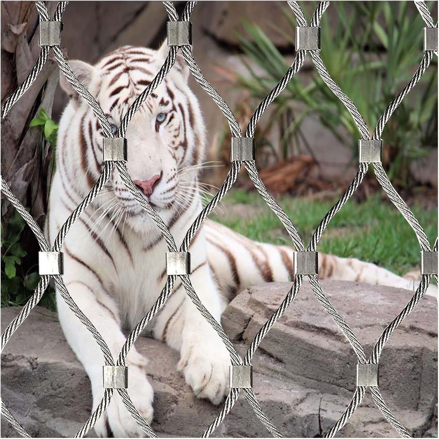 304 316 stainless steel rope mesh/wire rope mesh/ Protecting Mesh Woven Zoo Net