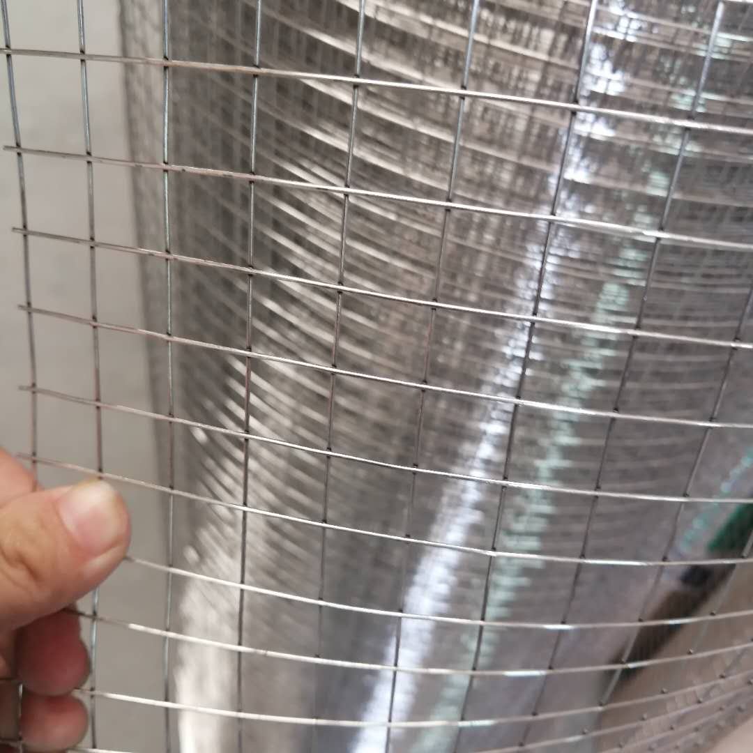 Wholesale 12 gauge galvanized welded wire mesh and PVC coated welded wire mesh with good quality low price