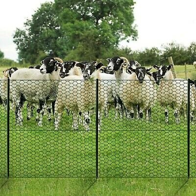 25mm x 25mm galvanized and PVC coated five twist hexagonal wire mesh