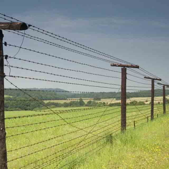Factory Wholesale barbed wire fence roll farm grassland enclosure galvanized barbed wire