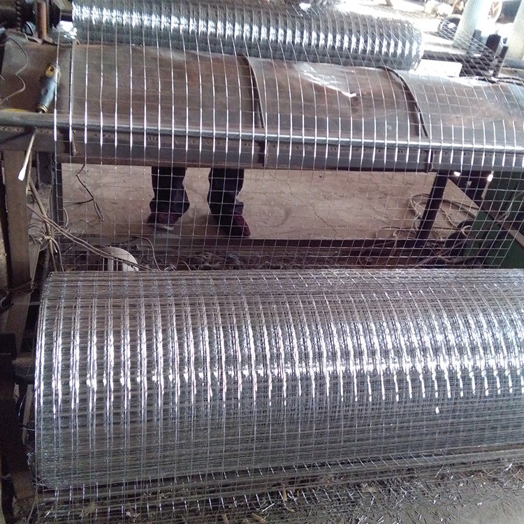 GALVANIZED WIRE STEEL NETTING WELDED WIRE MESH