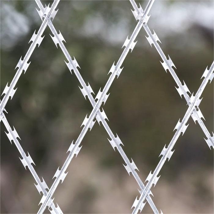 Barbed Wire Galvanized Razor Wire Anti Climb Bird Protective Blade Thorns barber wire