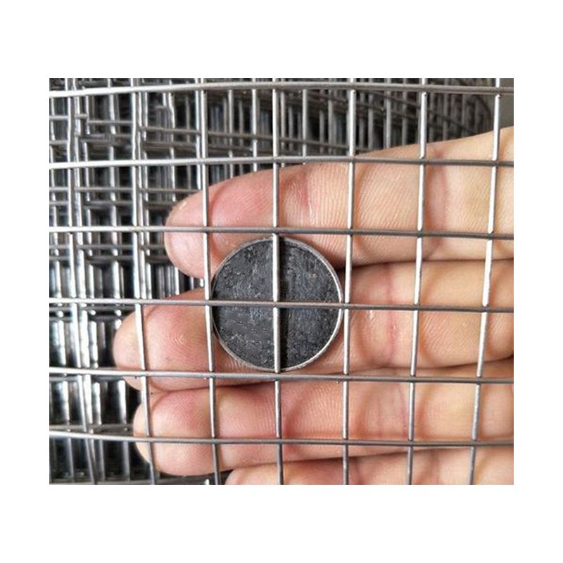 Hot Sale Factory Price Galvanized Welded Wire Mesh Roll For Fence