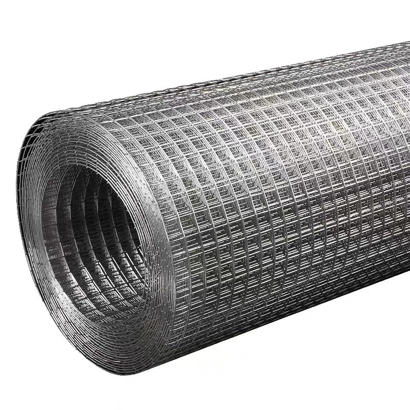 Hot Sale Factory Price Galvanized Welded Wire Mesh Roll For Fence