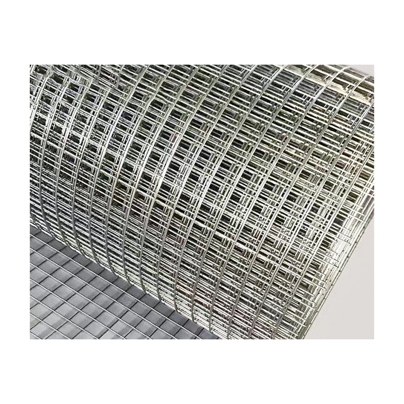 Hot Sale Factory Price Galvanized Welded Wire Mesh Roll For Fence