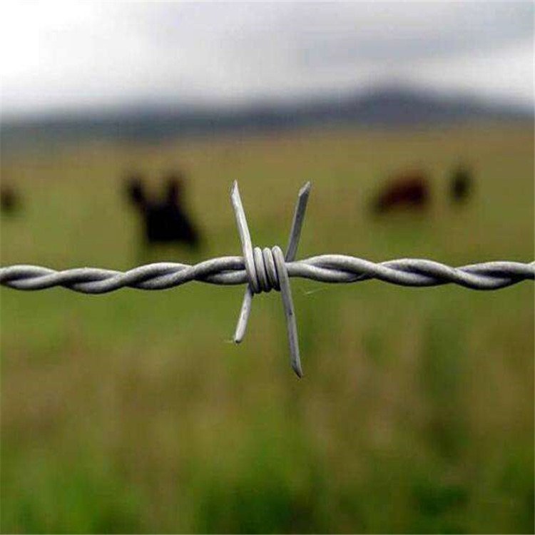 Manufacturers 12.5X14 Galvanized Wire Fence Razor Barbed Barb Wire Fence Roll Prices