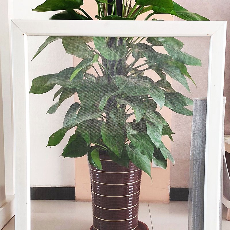 Stainless Steel Window Screen mesh 110G/m2 insect screen mesh mosquito net roll for doors and windows