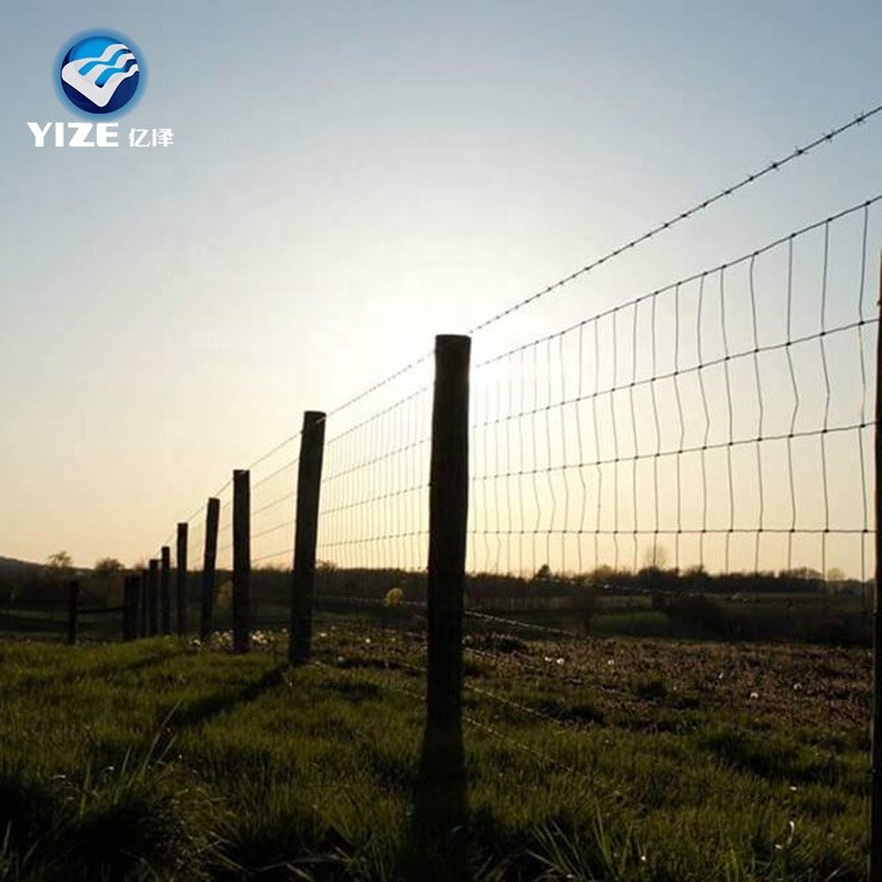 Animal rural farm hot dipped galvanized steel wire mesh hinge joint fence