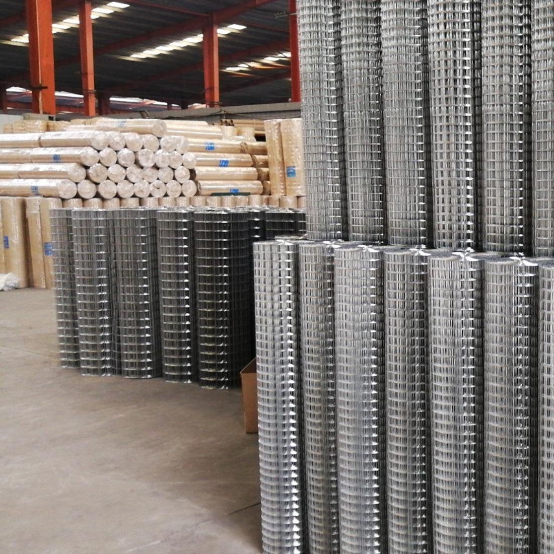 Plain Steel Wire Mesh Welded Wire Mesh Roll Welded Steel Welded Mesh Roll