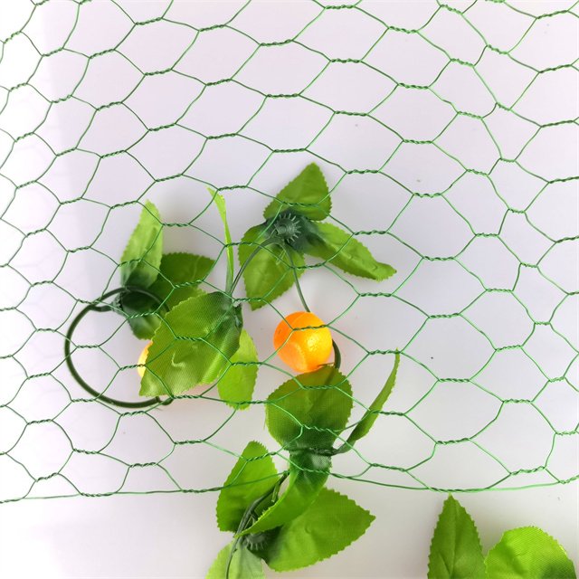 Iron Hexagon Twist galvanised pvc Fence Garden Double Wire Coop Hexagonal Barbed Wire Chicken Wire Net