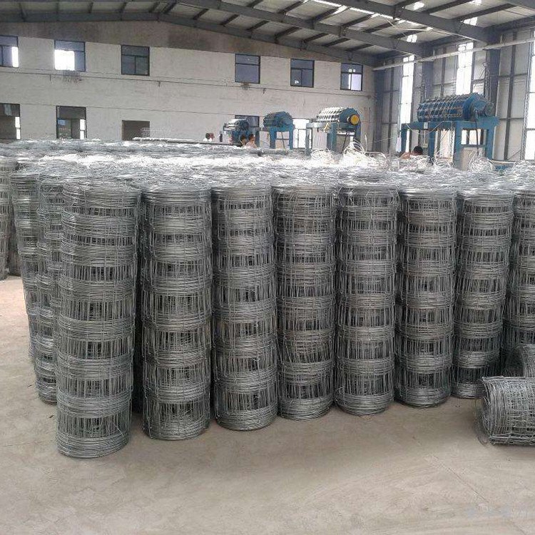 China Manufacture Galvanized Farm Net Fence Field Wire Mesh Fence for sheep cattle deer
