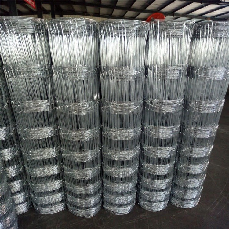 China Manufacture Galvanized Farm Net Fence Field Wire Mesh Fence for sheep cattle deer