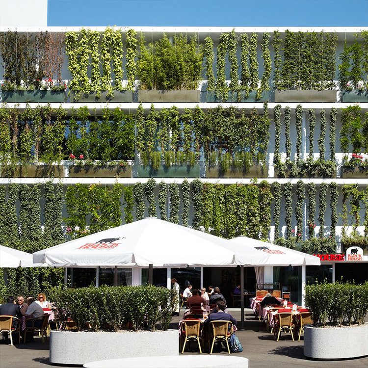 316 Flexible Stainless Steel Wire Cable Rope Mesh Net for Plant Green Climb Wall Plain Style Surface Technique