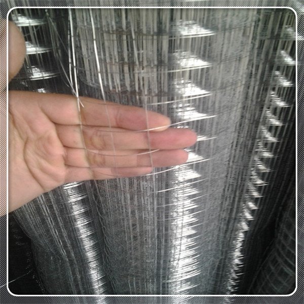 high strength galvanized welded wire mesh