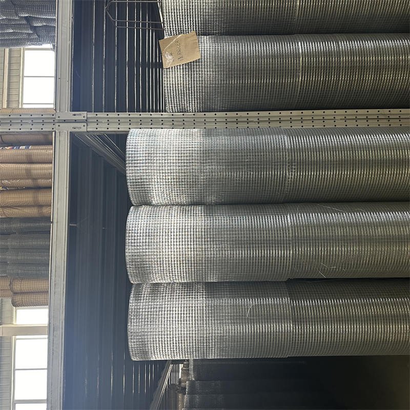 building materials iron welded bird cage wire mesh and welded mesh